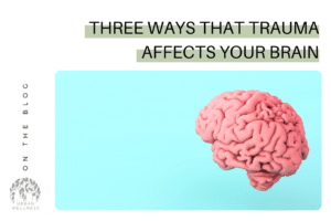 Three Ways That Trauma Affects Your Brain
